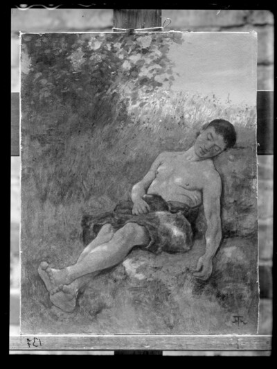 Sleeping young man