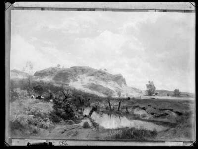 Landscape with cows