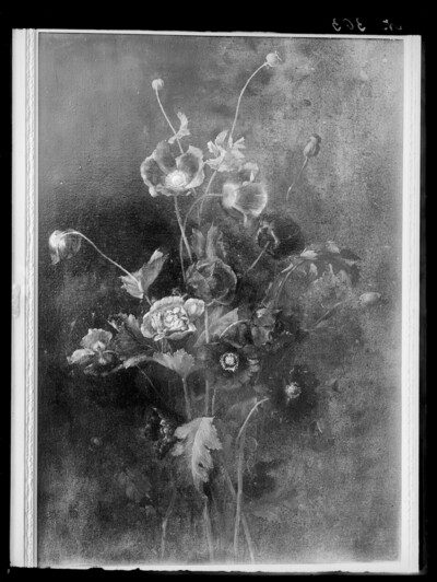 Poppy bouquet