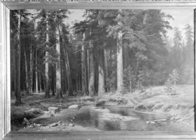 Lake Forest