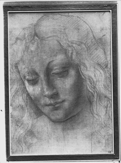 Portrait of a Young Woman