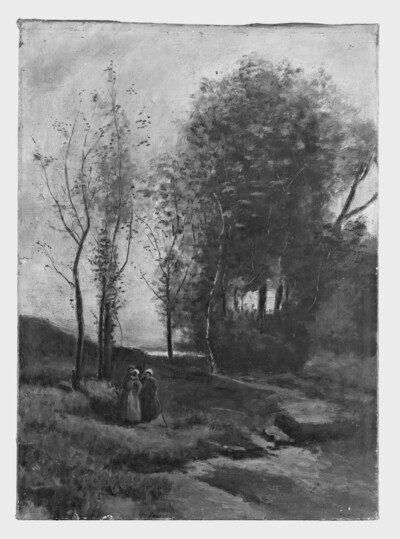Waldlandschaft