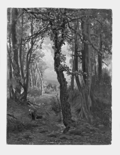 Waldlandschaft
