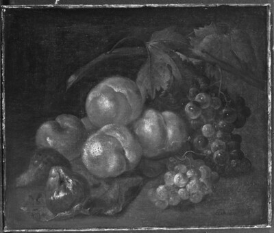 Fruit Still Life