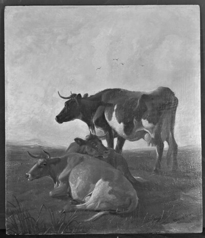 Three Cows