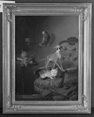 Hund und Katze
