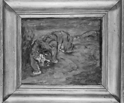 Schleichender Tiger