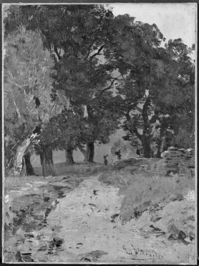 Waldweg mit Reisigsammlerin in der Ferne