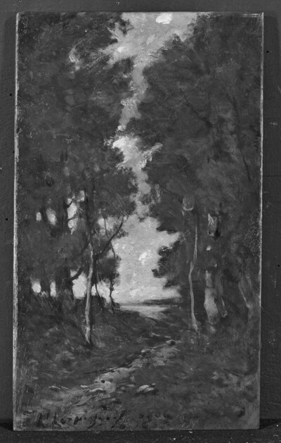 Forest Way in Autumn