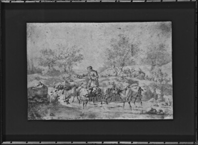 Shepherdess with herd in landscape