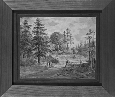 Forest lighting with open gate