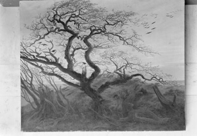 The Crow Tree on Rügen (Das Hünengrab)