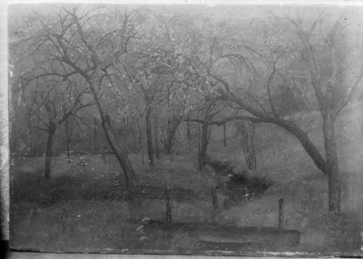 orchard