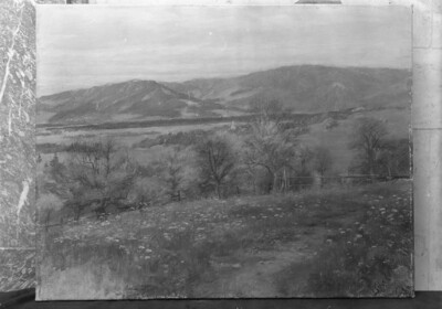 Landschaft