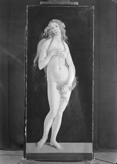 Venus
