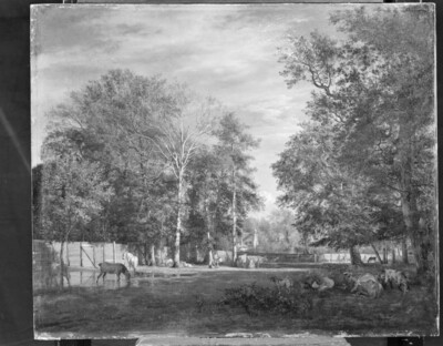 The Farm