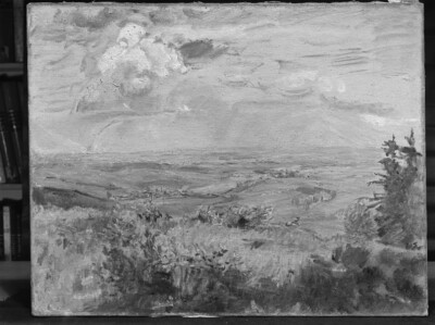View into the country