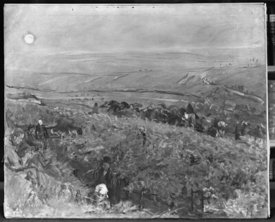 Wine harvest near Neukastel in Pfalz