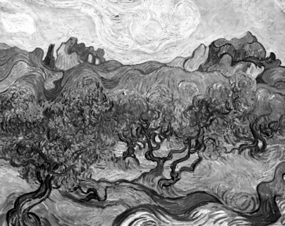 Olive trees in front of Alpillen/Olive grove