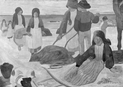 Breton Tang Collectors