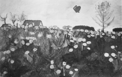 Foreground study with Huflattich and Butterfly