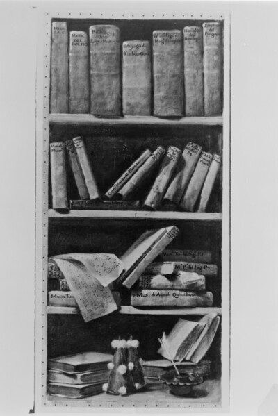Bookshelves - Still Life