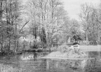 Branitzer Park