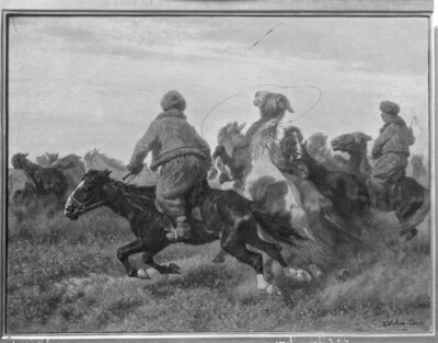 Pferde auf der Puszta