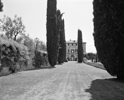 Garden of Cetinale villa