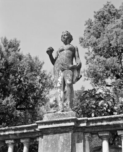 Venus