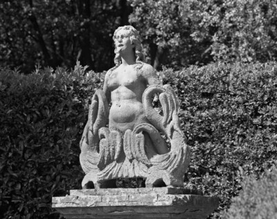 Siren
