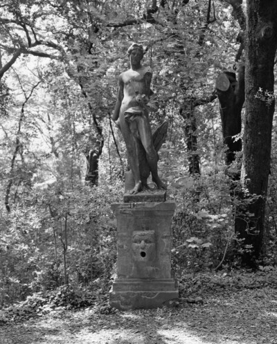 Apollo