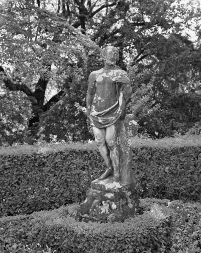 Bacchus