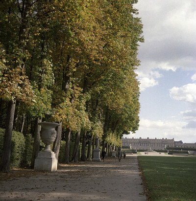 Allée Royale