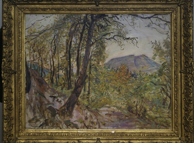 Palatinate Landscape