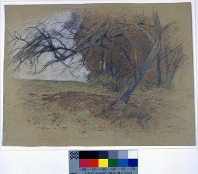 Gothic fields