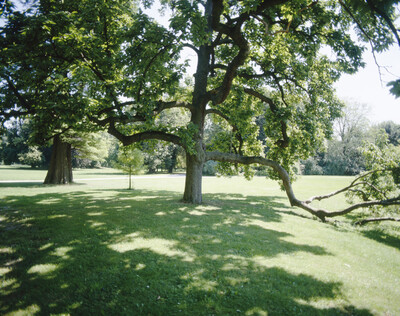 Castle park
