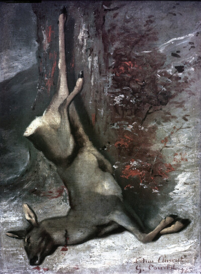 The deer