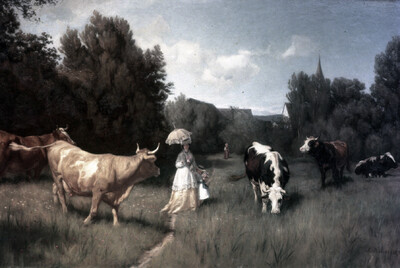 Cows on pasture