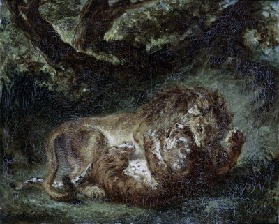 Kampf zwischen Löwe und Tiger
