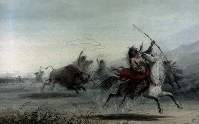 Buffalo hunting