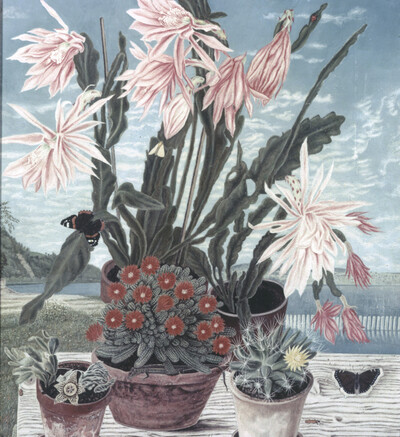 Still Life with Cacti