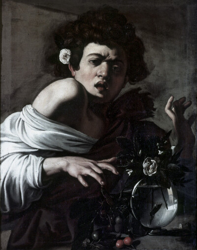 Young bitten by a lizard