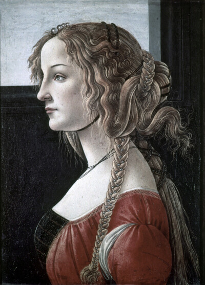 Female ideal (Portrait of Simonetta Vespucci as a Nymph)