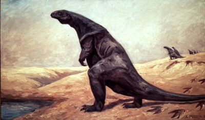 The Plateosaurus