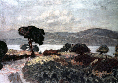 Landscape near Saint Tropez