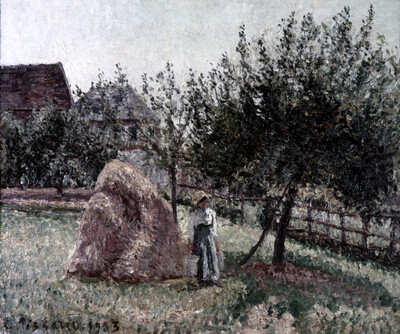 Spined apple tree