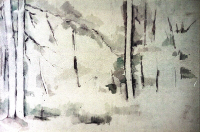 Forest exposure