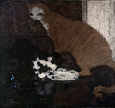 The Cats
