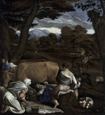 Rural scene